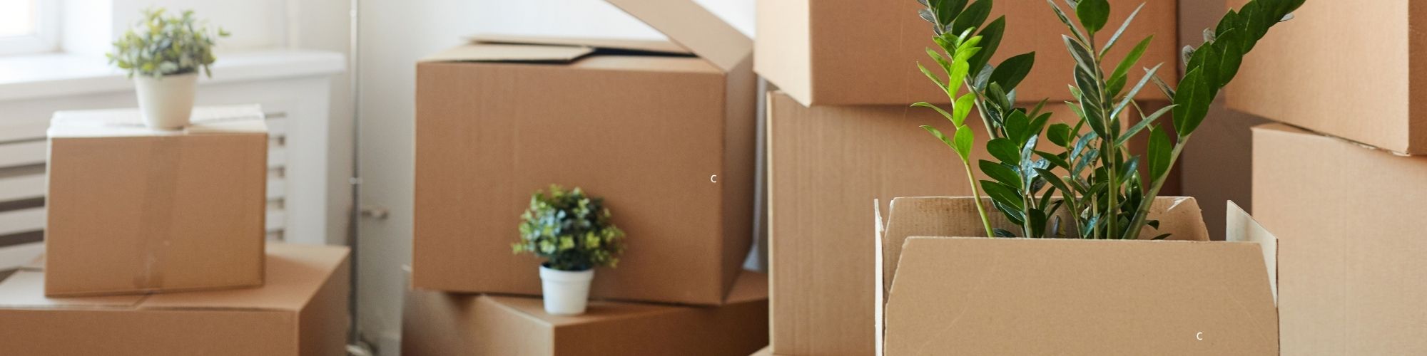 Le grand jour de l'aménagement approche - Buri Gestion